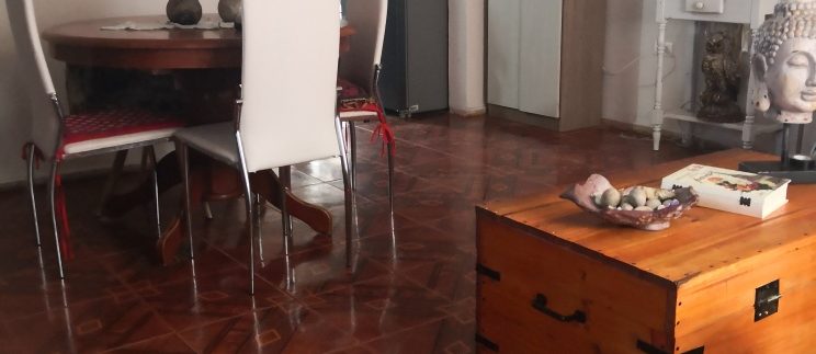 img_20230819_113246_resized_20230923_020549142